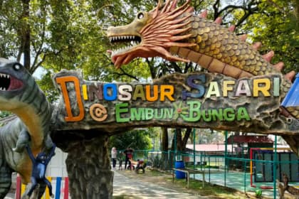 P_D_ Ostrich Show Farm